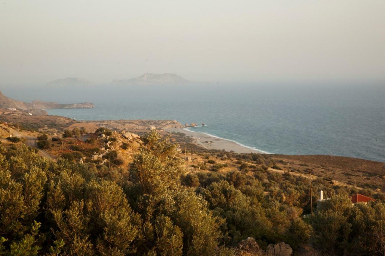 Alexandros Villa Agia Paraskevi  Bagian luar foto